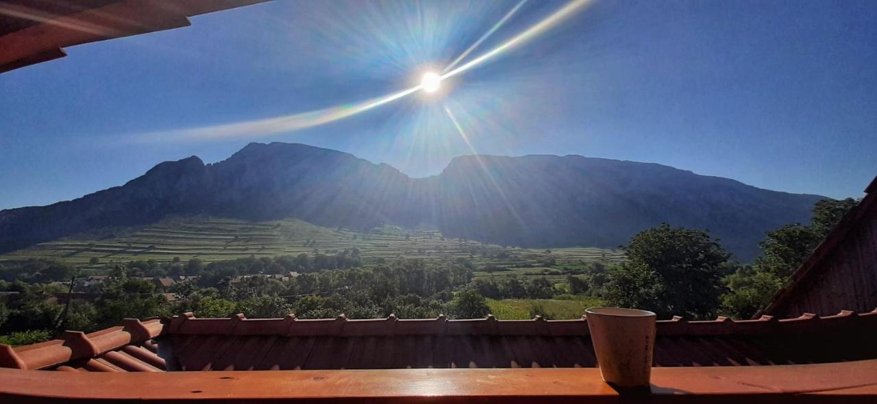 Kerekes Vendeghaz Hotel Rimetea Bagian luar foto
